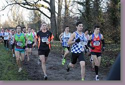 Begles 15.12.13 01 015 * 679 x 453 * (182KB)